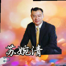 苏婉清
